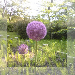 『祈り～多分、君に聞いてほしいのだろう～』/ 栗原優