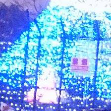 栗原優 with 佐藤佳雄<br>街頭行動<br>at 新宿アルタ前br>photo by anjuna<br>2015.12.27.