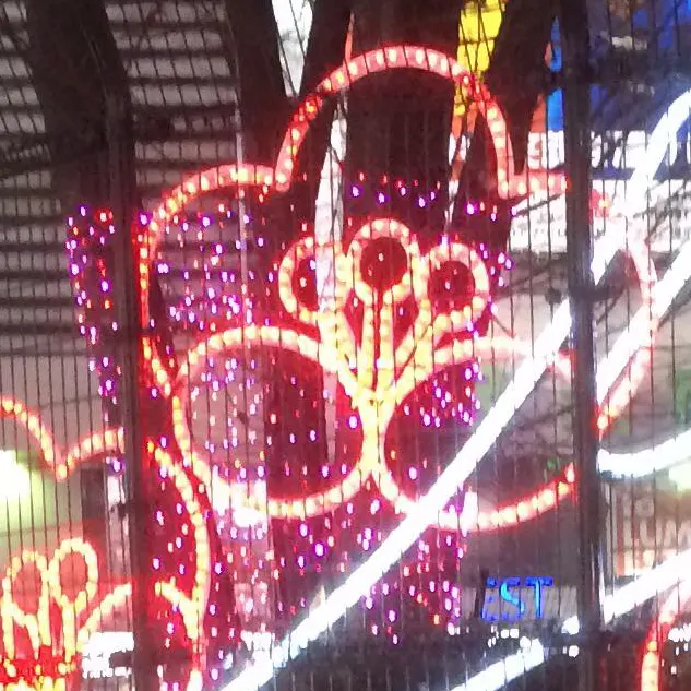 栗原優 with 坂本達雄、ゴジラ<br>街頭行動<br>at 新宿アルタ前<br>photo by raizou<br>2017.12.24.